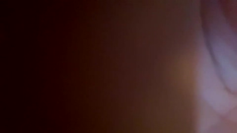baztobias1  06-09-2022